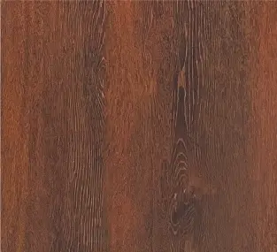 Японски Бонсай Цвят Японски Бонсай